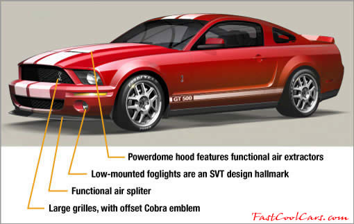 2006 - 2007 Shelby Cobra GT500