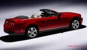 The all New 2010 Ford Mustang & Mustang GT, in Coupe or Convertible models.