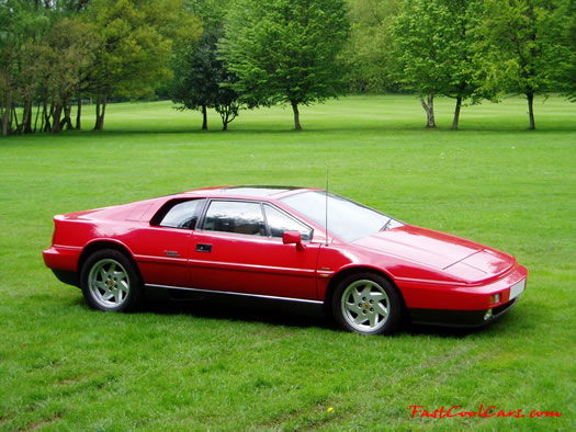 1988 Lotus Esprit Turbo - Right Hand Drive