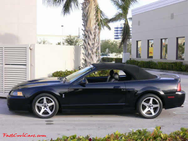 2003 SVT Cobra Convertible, For Sale, Factory Fast Cool Cars for sure.