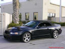 2003 SVT Cobra Convertible - 35,951 original Miles, 6 speed manual transmission, Black, black top, black interior, For Sale.