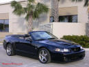 2003 SVT Cobra Convertible, For Sale, Factory Fast Cool Cars for sure.