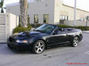 2003 SVT Cobra Convertible - 35,951 original Miles, 6 speed manual transmission, Black, black top, black interior, For Sale.