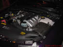 2004 Pontiac GTO, 5.7 LS1, 6 speed, 350 horsepower awesome engine