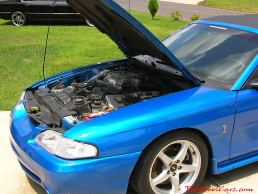 1998 Mustang Cobra Convertible - 1 of 223 - Electric blue