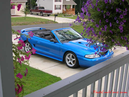 1998 Mustang Cobra Convertible - 1 of 223 - Electric blue, Lowering kit, Fast Cool Car.