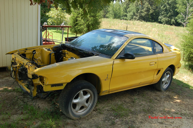 1998 Ford Mustang SVT Cobra Coupe, Roush Edition one fast cool car.