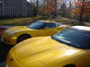 C5 Chevrolet Z06 Corvette 2001 - 2004, 385 to 405 horsepower, Aluminum block and heads LS6, all with 6 speeds.  America's sport car in Millennium Yellow.