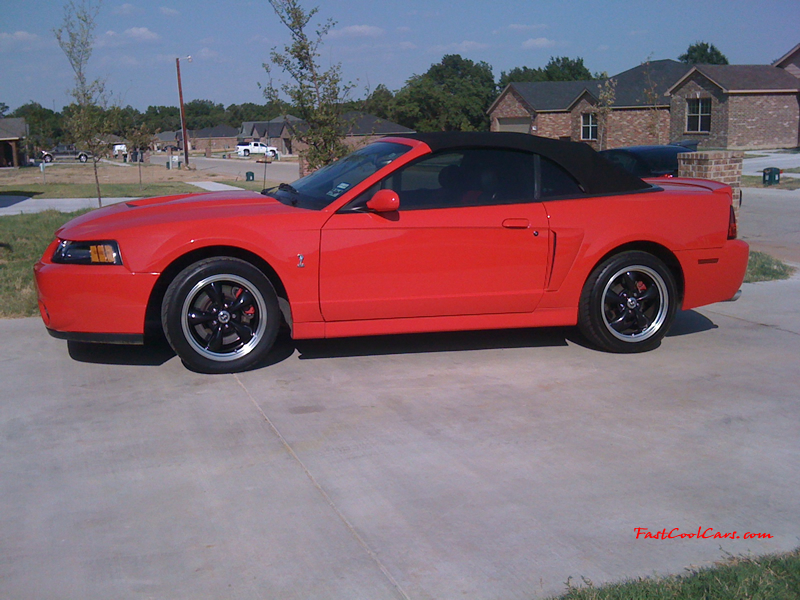 This is a 2003 10th anniversary Cobra, 6 speed manual, Supercharged