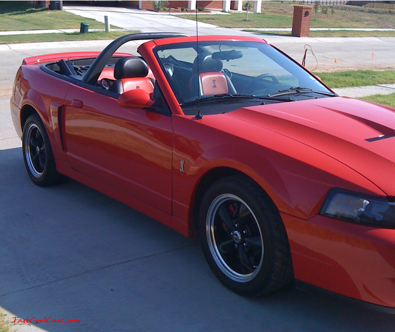 This is a 2003 10th anniversary Cobra, 6 speed manual, Supercharged