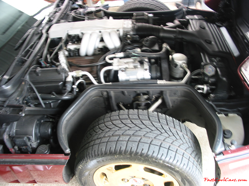 1988 Corvette Convertible, Automatic, Maroon w/ peanut butter top and leather seats; 350 cubic inch Engine