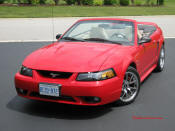 1999 SVT COBRA convertible