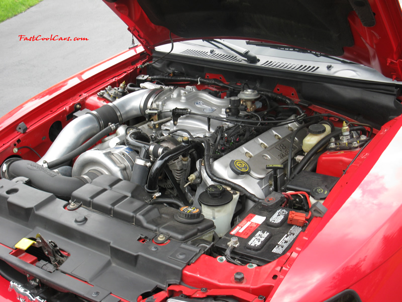 1999 SVT COBRA convertible