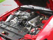 1999 SVT COBRA convertible