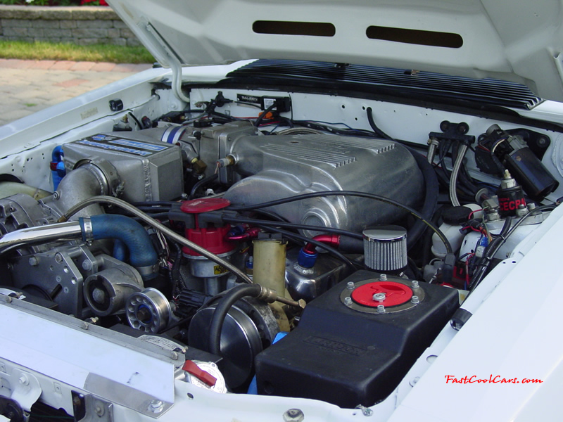 GORGEOUS 1989 SALEEN SSC ~ Steve Saleen manufactured 160 SSCs in 1989 and this one is number 53/160. It is VIN # 1FABP41E3KF227372. The SSC was only manufactured in 1989 and is a true collectable for the serious Mustang enthusiast