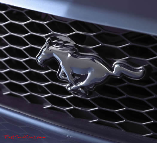 2005 Ford Mustang GT front grill and Mustang horse view