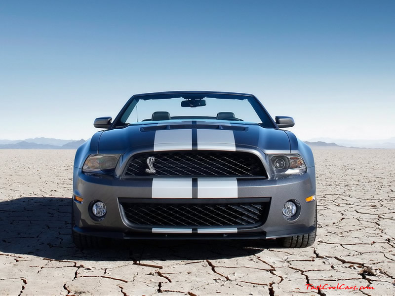 2010 Ford Shelby GT500 540HP :)
