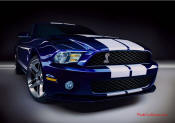 2010 Ford Shelby GT500
