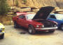 1969 Boss 429 Mustang - fastcoolcars.com