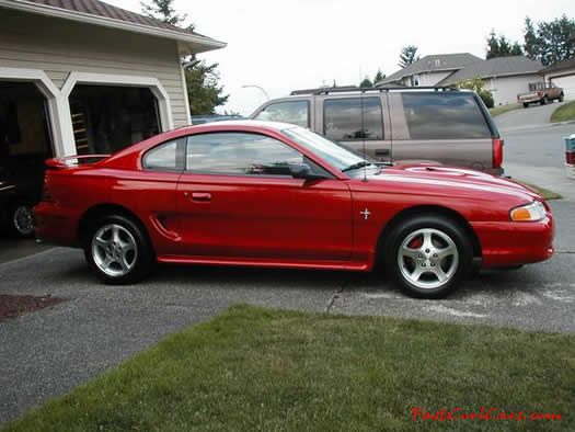 1995 Mustang - Cobra "R" hood - cool new 2000 model mustang wheels - fastcoolcars.com