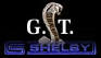 Carroll Shelby GT Logo