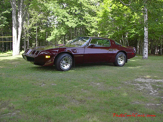 1981 Pontiac Trans Am