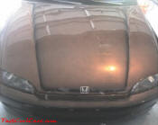 1994 Honda Civic EX 5 speed, lowered, Honda SI wheels