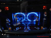 1998 Honda Accord V6 - Neon lights