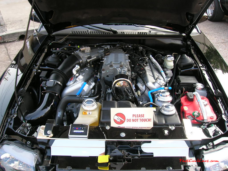 Cleveland, Tennessee Cruise-in August 28, 2005 - Black Supercharged Cobra