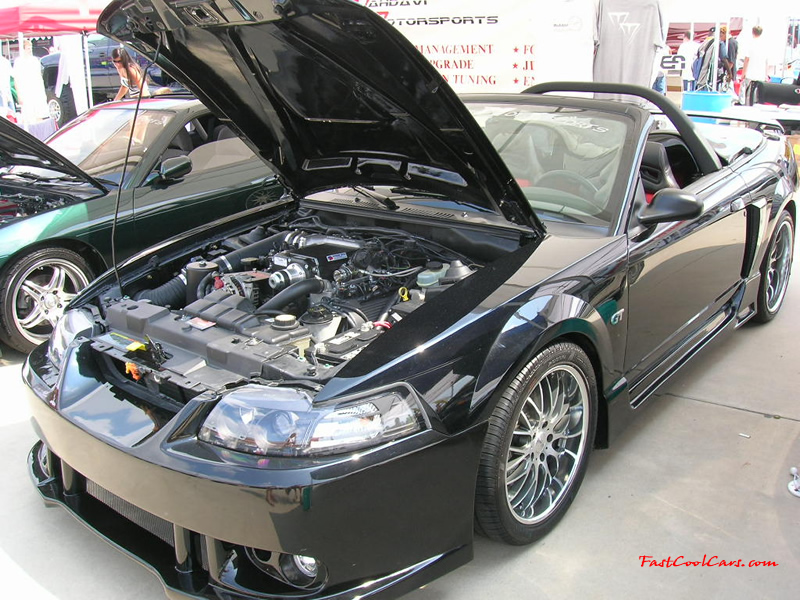 Nopi Nationals - Motorsports Supershow 2005, Ford Mustang, nice.