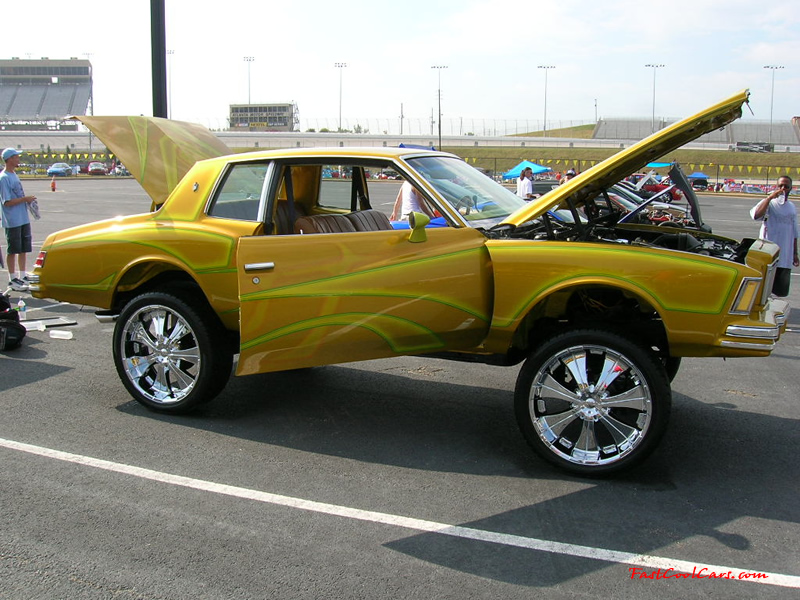  wallpaper with the Chevrolet Corvette Ford Mustang GT Cobra Saleen 