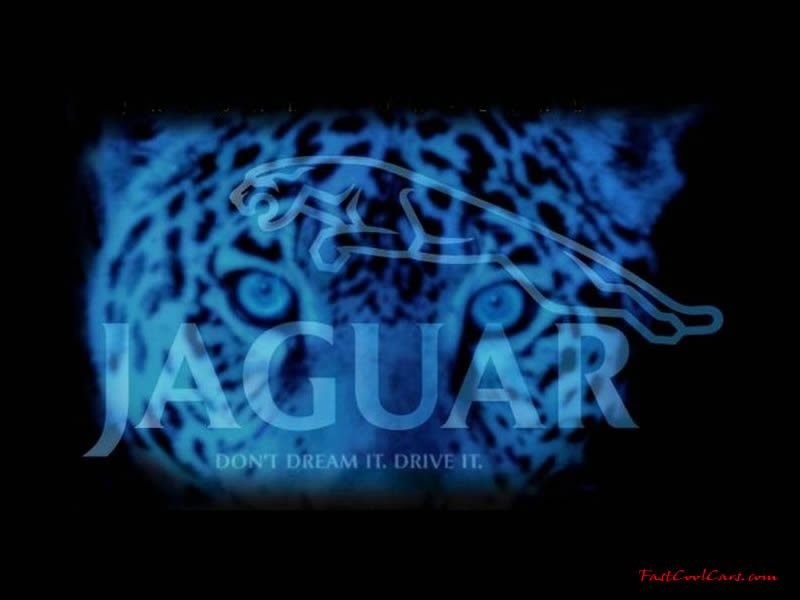 Jaguar cool image jaguars face