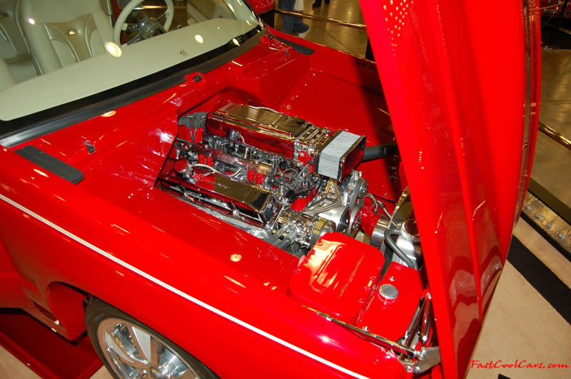 The 2009 World of Wheels Show in Chattanooga, Tennessee. On Jan. 9th,10, & 11th, Pictures by Ron Landry. fuel injected V-8 custom paint job.