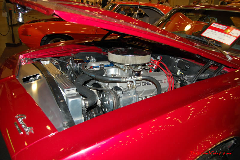 The 2009 World of Wheels Show in Chattanooga, Tennessee. On Jan. 9th,10, & 11th, Pictures by Ron Landry. Big Block Chevy.