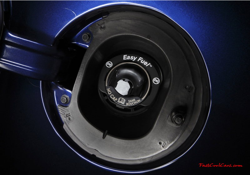 The all New 2010 Ford Mustang & Mustang GT, in Coupe or Convertible models.