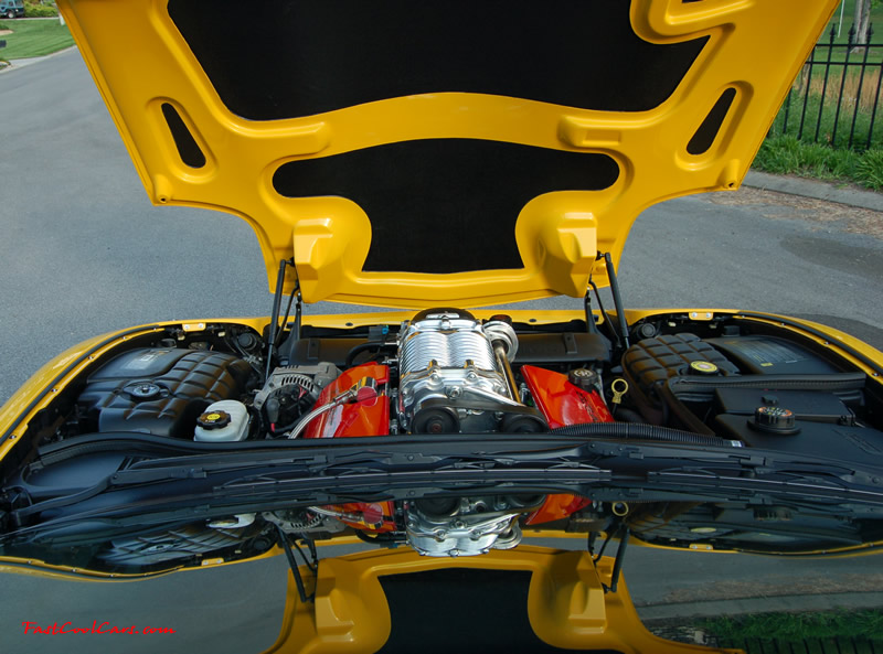2002 Millennium Yellow supercharged & methanol injected Z06 Corvette, with many modifications, over 50 grand invested in the past 2+ years, for sale $38,000 what a deal. 555 HP | 565TQ - Polished blower. This is one of the best pictures ever taken. I think it is a great view of the twin roots Magunson blower.