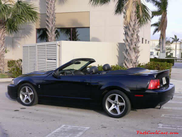 2003 SVT Cobra Convertible - 35,951 original Miles, 6 speed manual transmission, Black, black top, black interior, For Sale.