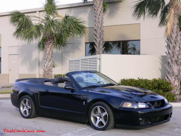 2003 SVT Cobra Convertible - 35,951 original Miles, 6 speed manual transmission, Black, black top, black interior, For Sale.