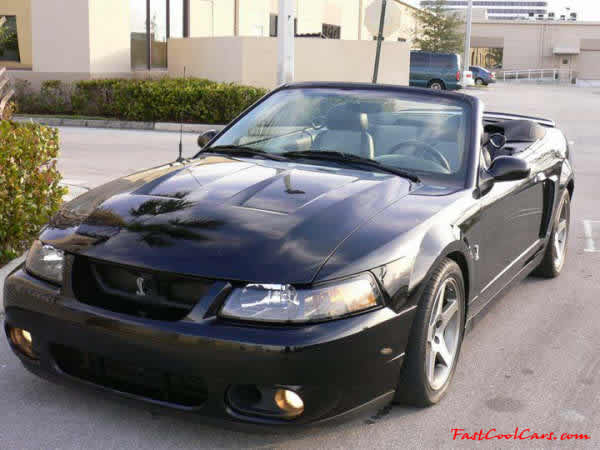 2003 SVT Cobra Convertible - 35,951 original Miles, 6 speed manual transmission, Black, black top, black interior, For Sale.