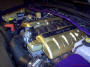 2004 Pontiac GTO LS1 engine customized with gold