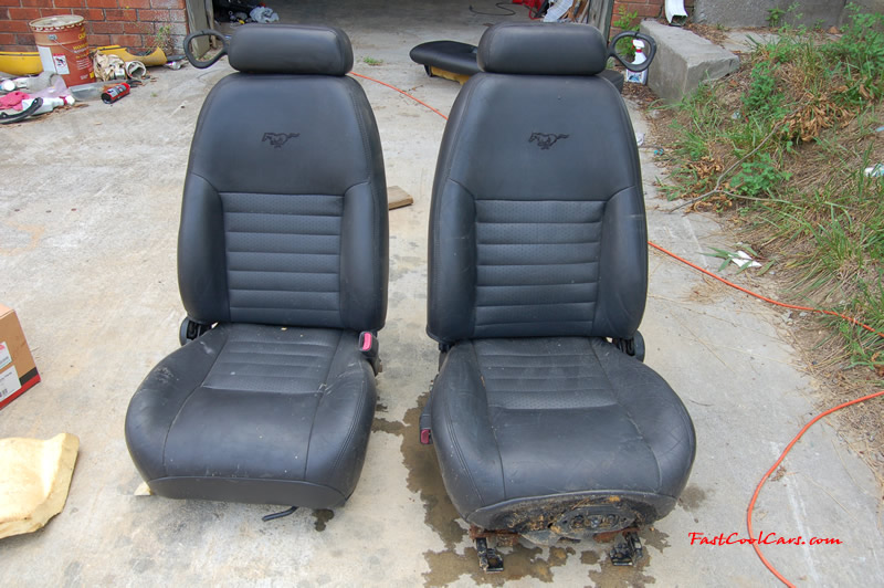 1998 Ford Mustang SVT Cobra Coupe, Roush Edition one fast cool car.