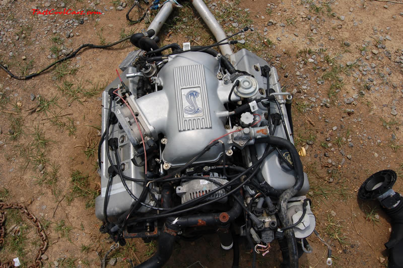 1998 Ford Mustang SVT Cobra Coupe, Roush Edition one fast cool car.