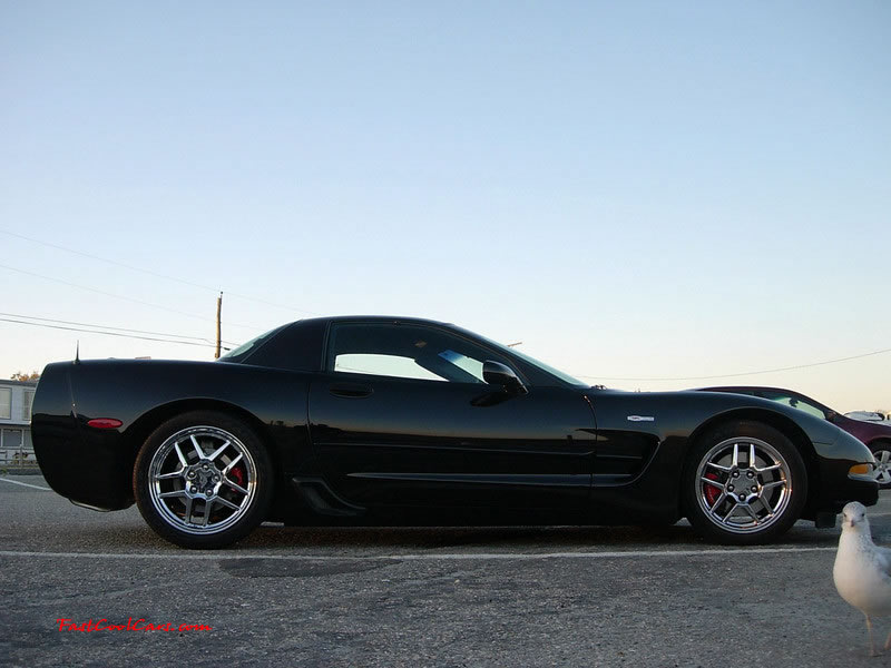 C5 Chevrolet Z06 Corvette 2001 - 2004, 385 to 405 horsepower, Aluminum block and heads LS6, all with 6 speeds.  America's sport car.