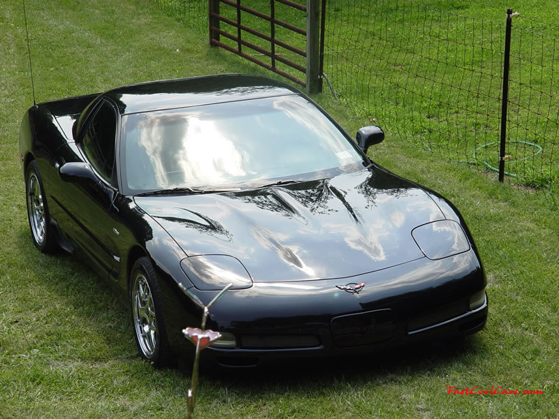 C5 Chevrolet Z06 Corvette 2001 - 2004, 385 to 405 horsepower, Aluminum block and heads LS6, all with 6 speeds.  America's sport car.
