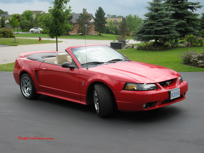 1999 SVT COBRA convertible