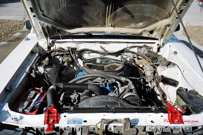 1980 Ford Fairmont Futura - with a Mexican block 302 dropped in it and a T-5 manual transmission