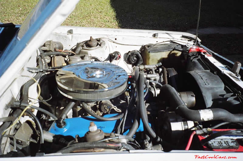 1980 Ford Fairmont Futura - with a Mexican block 302 dropped in it and a T-5 manual transmission
