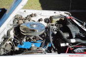 1980 Ford Fairmont Futura - with a Mexican block 302 dropped in it and a T-5 manual transmission
