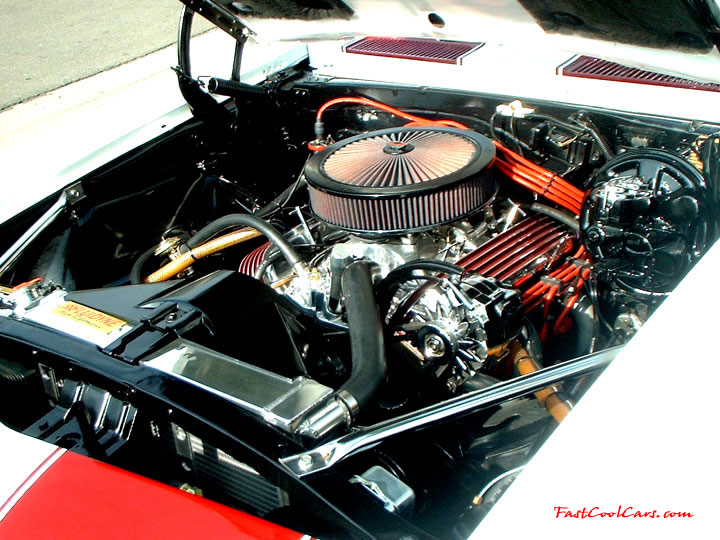 1967 Chevrolet Camaro ~ I bought my car from a bone yard.