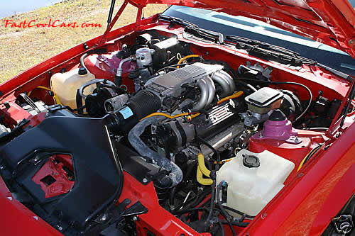 1988 Chevrolet Camaro IROC Z, Comp Cam, 1.6 Roller Rockers, Flowmasters, Summit Racing Headers, 22lb Injectors, Balanced engine, Total restoration. - Steven E. Ochoa - San Antonio, Texas - USA